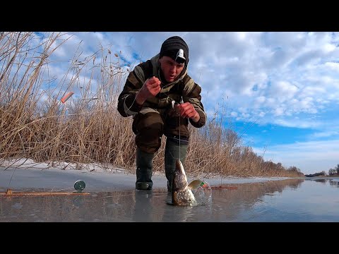 Видео: ЖЕРЛИЦЫ ПОПЛЫЛИ. ОПАСНЫЙ ЛЁД. Рыбалка на жерлицы зимой. Щука на жерлицы. Зимняя рыбалка 2023.