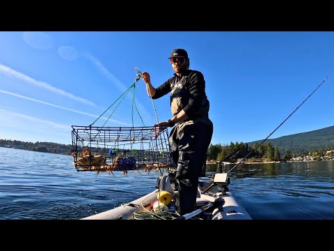 Видео: Лов крабов в Дангенессе, 30 минут от Ванкувера