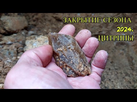 Видео: Цитрины. Закрытие сезона 2024