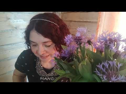Видео: АСМР 🌸 Распаковываю стикеры из магазинов 🎁 пересчитаю пакетики 😴 шепталка- болталка 🍒