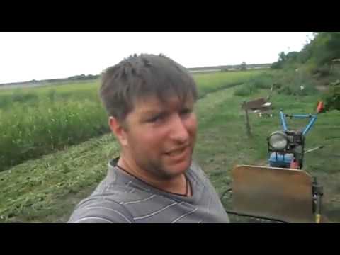 Видео: Сенокос мотоблоком .