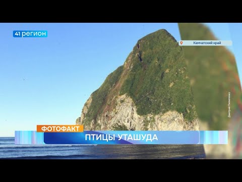 Видео: Новости Камчатки за 11 сентября 2025 года