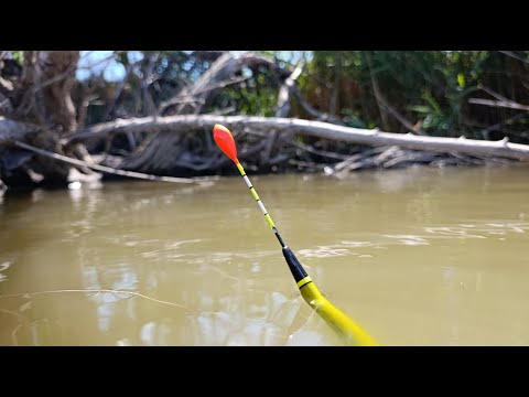 Видео: Став під корчем і ПОЧАЛОСЬ! МІШОК риби на ПОПЛАВОК! Коропи порізали РУКИ мені! CARPFISHING EXTREM!