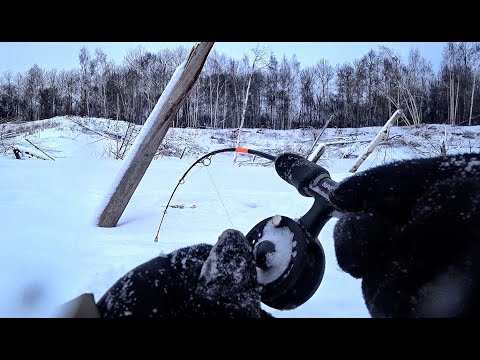 Видео: ТУТ РЫБЫ БОЛЬШЕ ЧЕМ КОРЯГ!!! ПОПАЛИ НА ЖОР !!Рыбалка на Оби, балансир, щука,окунь.