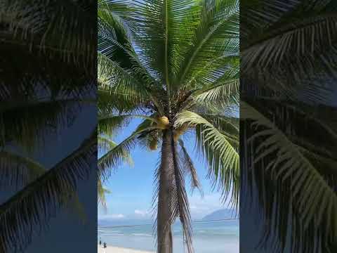 Видео: GM Doc Let Beach Resort & Spa 3 Часть