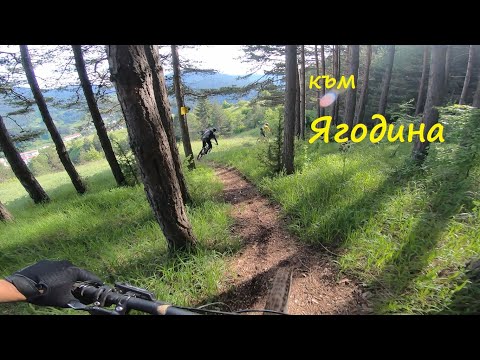 Видео: Синята маркировка към Ягодина