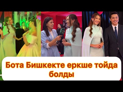 Видео: Бота Бишкекке арнайы тойға барып жігіттердің көзіне түсті😱