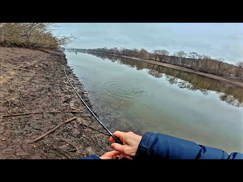 Видео: Рыбалка на ультралайт на Москве реке в Чулково. #срыбалки