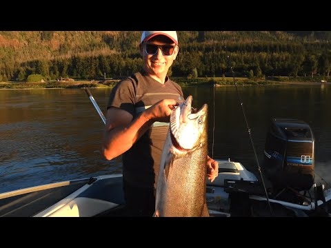 Видео: 10 кг Чавычи на крючке: Вечерняя рыбалка мечты!