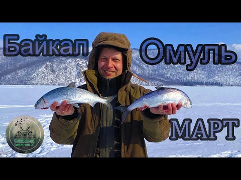 Видео: РЫБАЛКА на ОМУЛЯ МАРТ Северный БАЙКАЛ