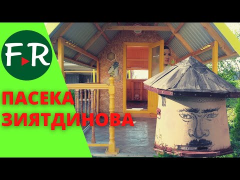Видео: Апидомик, необычные ульи и медовуха. Пчеловод Ахмат Зиятдинов: Вышки сотовой связи не влияют на пчёл