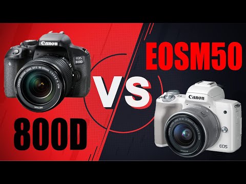 Видео: Беззеркалка Canon EOS M50 vs Зеркалка 800d, видео, фото