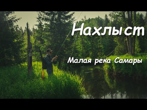 Видео: Голавль на Нахлыст! Малая река Самарской области!