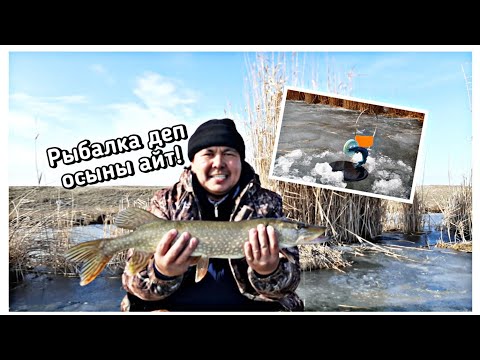 Видео: Рыбалка на жерлицы Атырау 2020!Қысқы балық аулау Атырау! #9