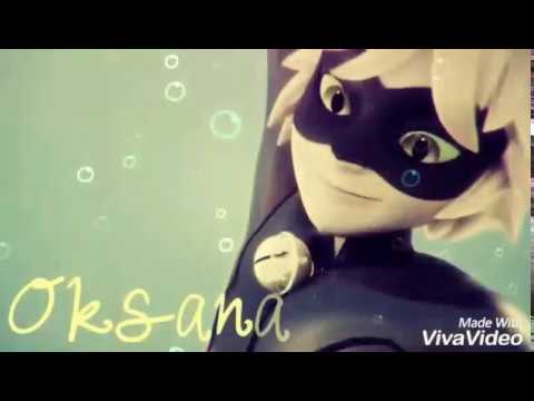 Видео: Киса киса мяу мяу / Леди Баг и Супер Кот