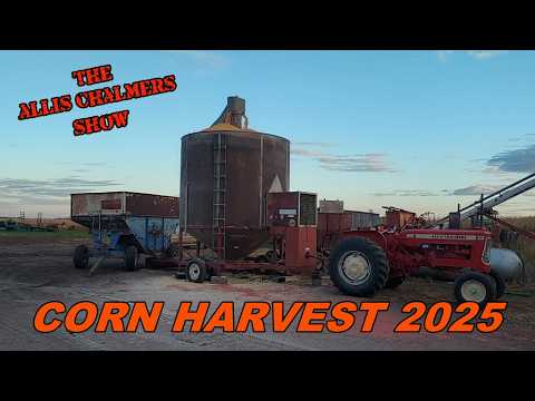 Видео: Эллис Чалмерс показывает время сбора кукурузы 2025 с Gleaner N6