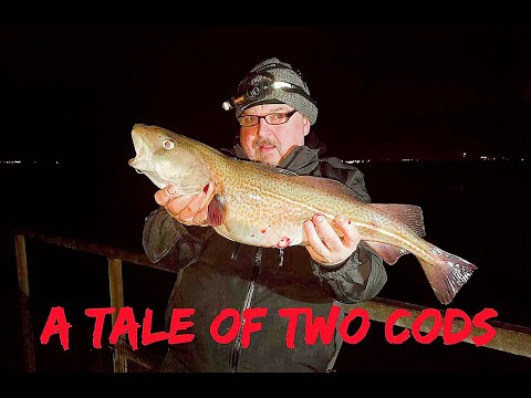 Видео: Морская рыбалка в Великобритании — РЕКА ХАМБЕР — РЕКОНСТРУКЦИЯ ТРЕСКИ — Восточное побережье