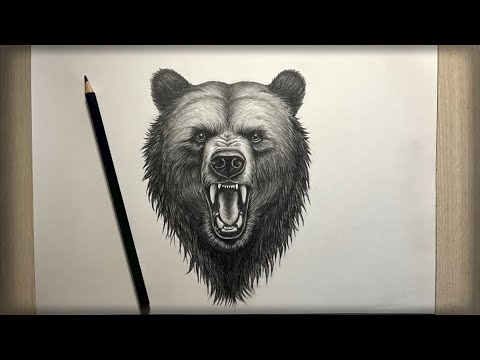 Видео: Cómo dibujar un Oso realista|paso o paso|Рисуем Медведя|Bear