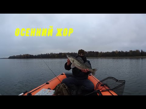 Видео: Осенний ЖОР