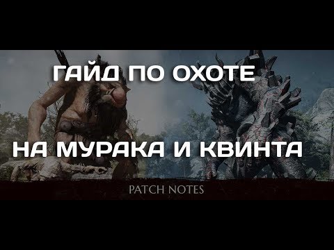 Видео: Гайд по фарму Квинта и Мураки в Black Desert Online (BDO)