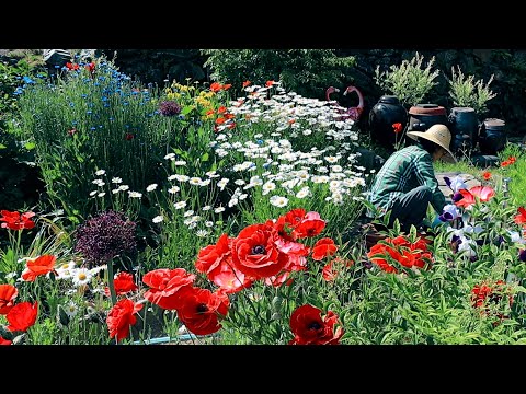 Видео: Счастливой сельской жизни с цветниками и огородами!