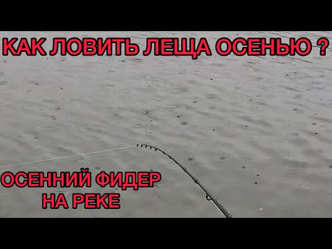 Видео: КАК Наловить ЛЕЩА ОСЕНЬЮ на ФИДЕР??? Ночная рыбалка в ОКТЯБРЕ