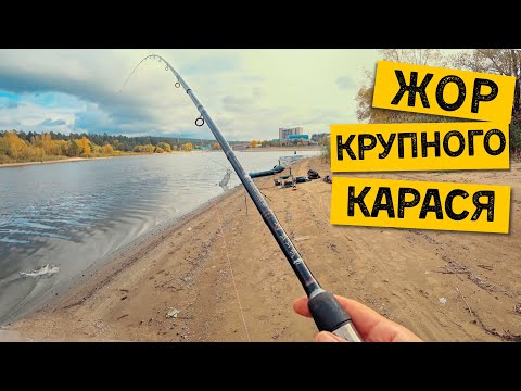 Видео: ЖОР КРУПНОГО КАРАСЯ ОСЕНЬЮ!!! Рыбалка на донки. Ловлю карасей и потом их готовлю.