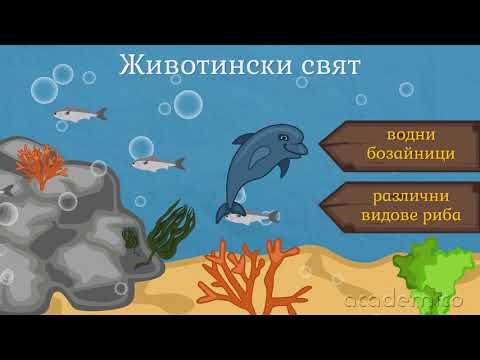 Видео: Животът в Черно море - Човекът и природата 4 клас | academico