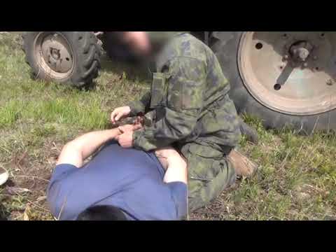 Видео: В Бурятии задержаны «чёрные лесорубы»