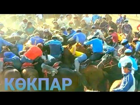 Видео: БӘЙКЕНЖЕ АУЫЛЫ ҮЛКЕН КӨКПАРДАН ҮЗІНДІ | 29.04.23