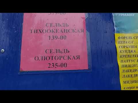 Видео: Горбуша удивила.Прощай,Омега3? Цена на рыбу в Омске.10 октября 2024.