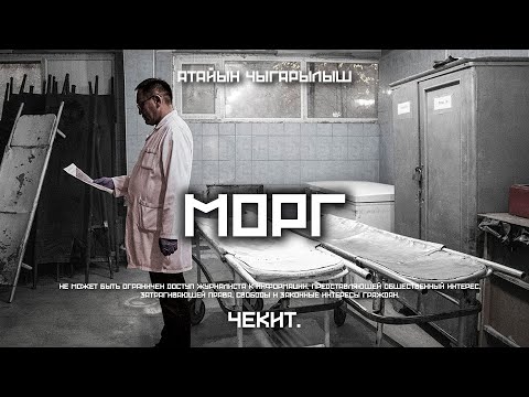 Видео: Кольбаев, Эгизбаев жана башкалар союлган жер | Чекит.