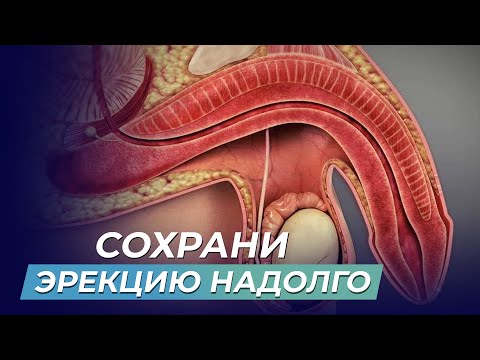 Видео: Как СОХРАНИТЬ МОЩНУЮ ЭРЕКЦИЮ в зрелом возрасте? Восстановите потенцию за считанные дни БЕЗ ТАБЛЕТОК!