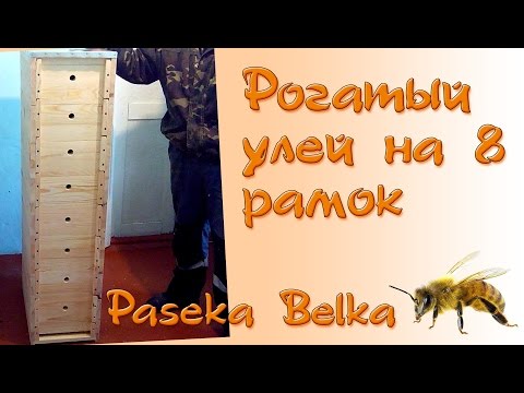 Видео: Рогатый улей на 8 (восемь) рамок
