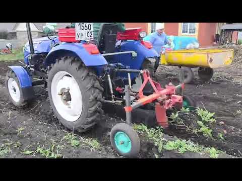 Видео: 29 августа 2025 г.