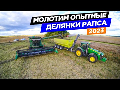 Видео: Уборка 5 сортов рапса на двух роторных John Deere. Плохие прогнозы по комбайну JD-T660i.