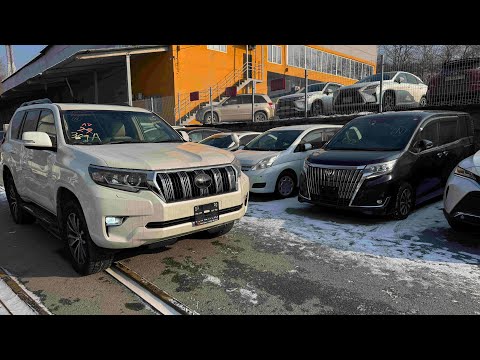 Видео: ❗️ПАДЕНИЕ ЦЕН 😱 НОВИНКИ ИЗ ЯПОНИИ❗️ АВТО ИЗ ЯПОНИИ, КИТАЯ❗️ КОНКУРС❗️