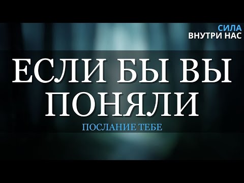 Видео: Оставьте все в покое и начнет происходить нечто