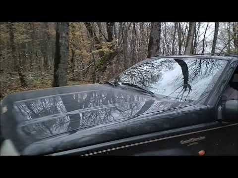 Видео: Шапсугский аномальный треугольник. Путешествие в станицу Шапсугская