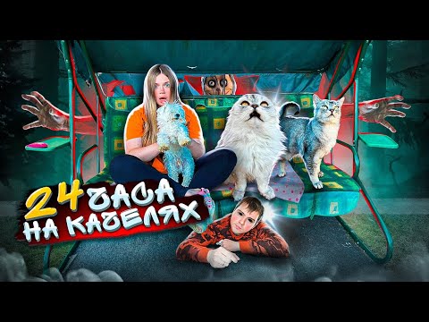 Видео: 24 ЧАСА НА КАЧЕЛЯХ С КОТАМИ | НОЧЬ НА УЛИЦЕ С МОМО