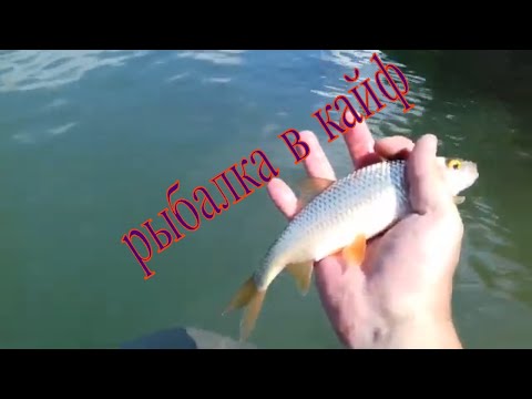 Видео: Летняя рыбалка на лодке в заливе. Спиннинг. Поплавок. Сорога.