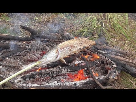 Видео: ВЫЖИВАНИЕ! Рыбалка на ОКЕ в затоне и На ПОПЛАВОК с ЛОДКИ на ЖИВЦА! ВЕСЁЛЫЙ ДЕД на КРУТОЙ ТАЧКЕ.