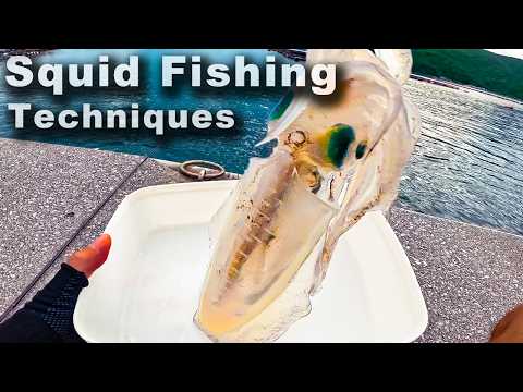 Видео: Как Поймать и Приготовить Кальмара | Лёгкий Эгинг для Начинающих