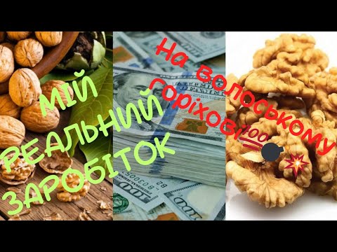 Видео: Заробіток на волоському горіхові. Секрет биття горіха.