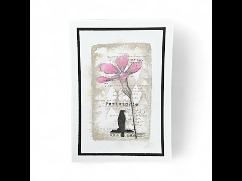 Видео: Карточка с новинкой #tracyevansboutiquedesigns #newrelease #stamping #distress