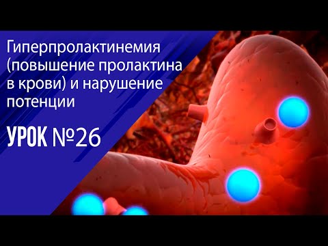Видео: Урок 26 Гиперпролактинемия и импотенция