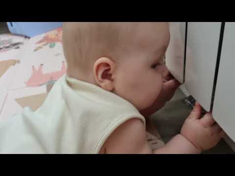 Видео: Ярік досліджує квартиру і трошки бешкетує.