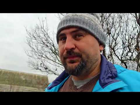 Видео: Пепка переселилась! Когда-то заберу её  с собой 