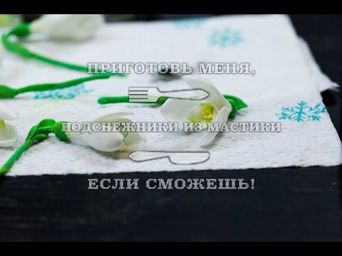 Видео: Подснежник из мастики