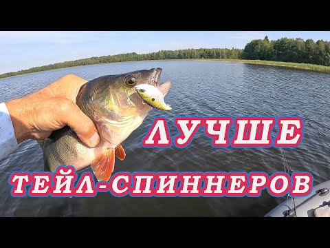 Видео: ВЫСТРЕЛИЛА НОВАЯ ПРИМАНКА! Ловит ЛУЧШЕ Тейл-спиннеров!